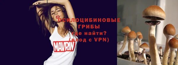 ALPHA PVP Майский