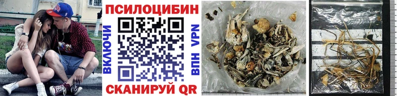 Псилоцибиновые грибы GOLDEN TEACHER  Купить закладки  Александровск 